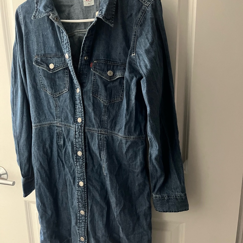 Levi dress